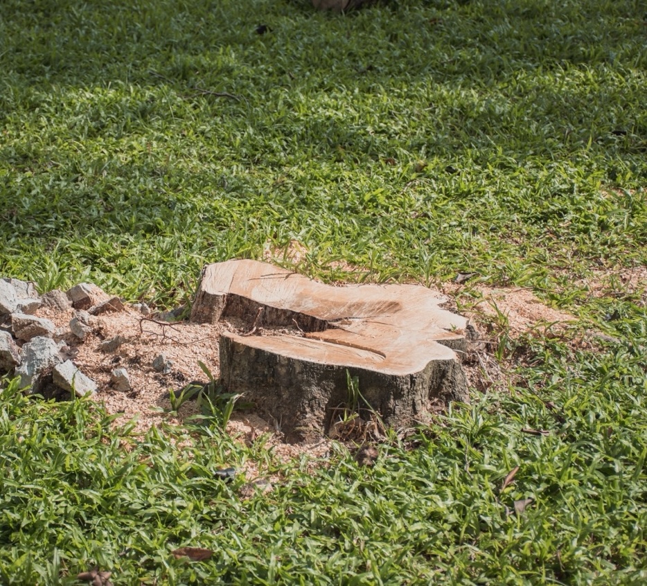 HD Paysage, votre paysagiste en Normandie et aux alentours