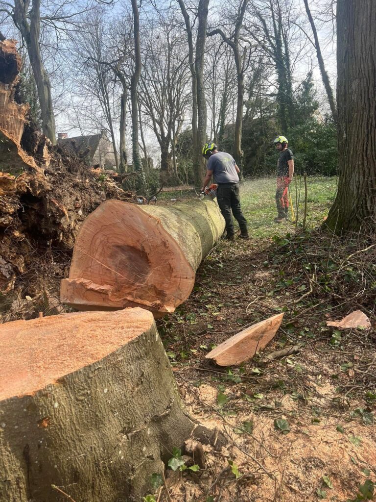 HD Paysage, votre paysagiste en Normandie et aux alentours
